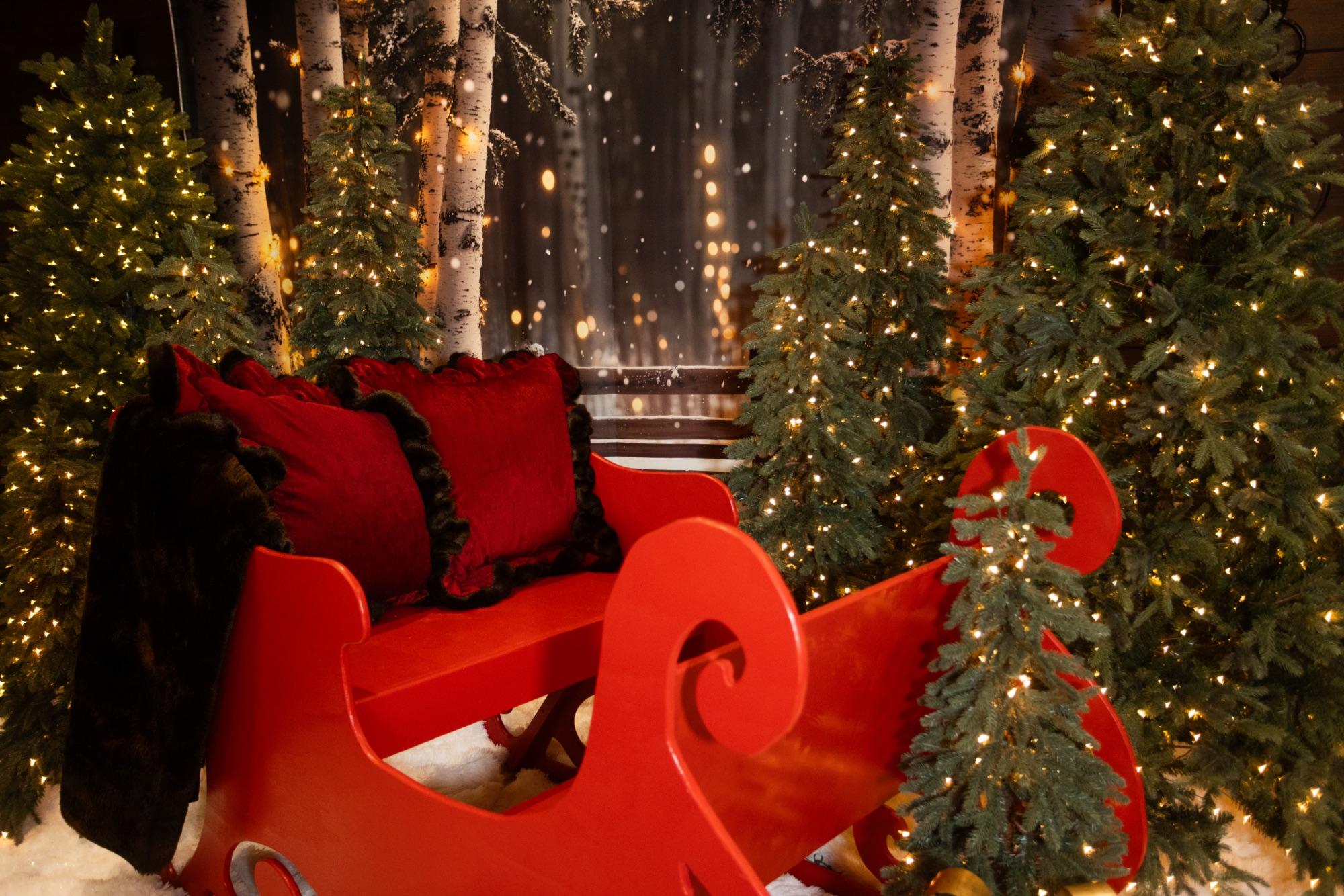 The Santa set — red sleigh, birch backdrop, and twinkle lights ready for families